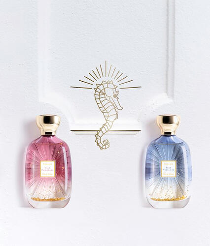 Collection Memory Lane