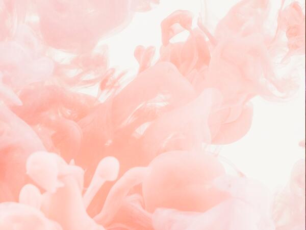 Floral Aquatic