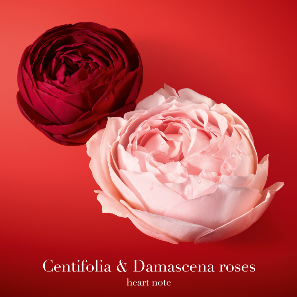 Sì Passione, Éclat de Parfum