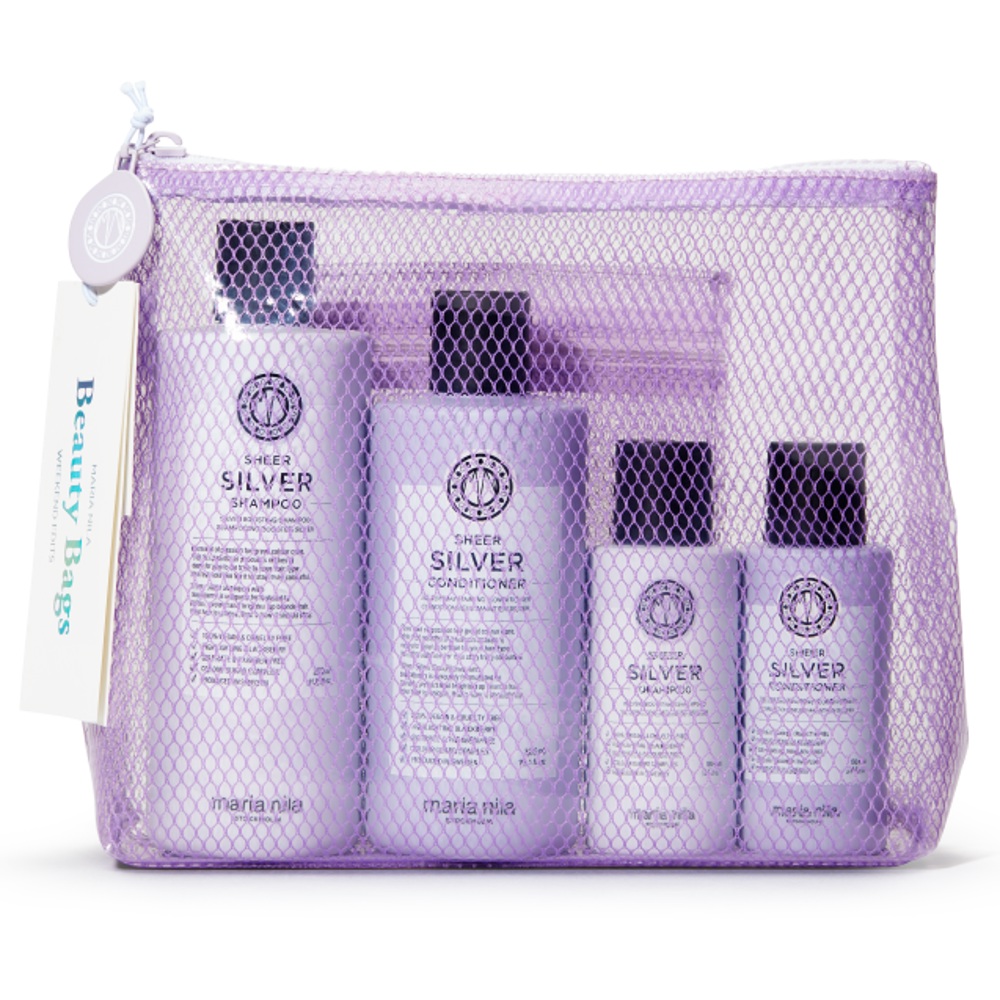 Sheer Silver Beauty Bag 22