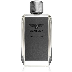 Momentum, EdT 100ml