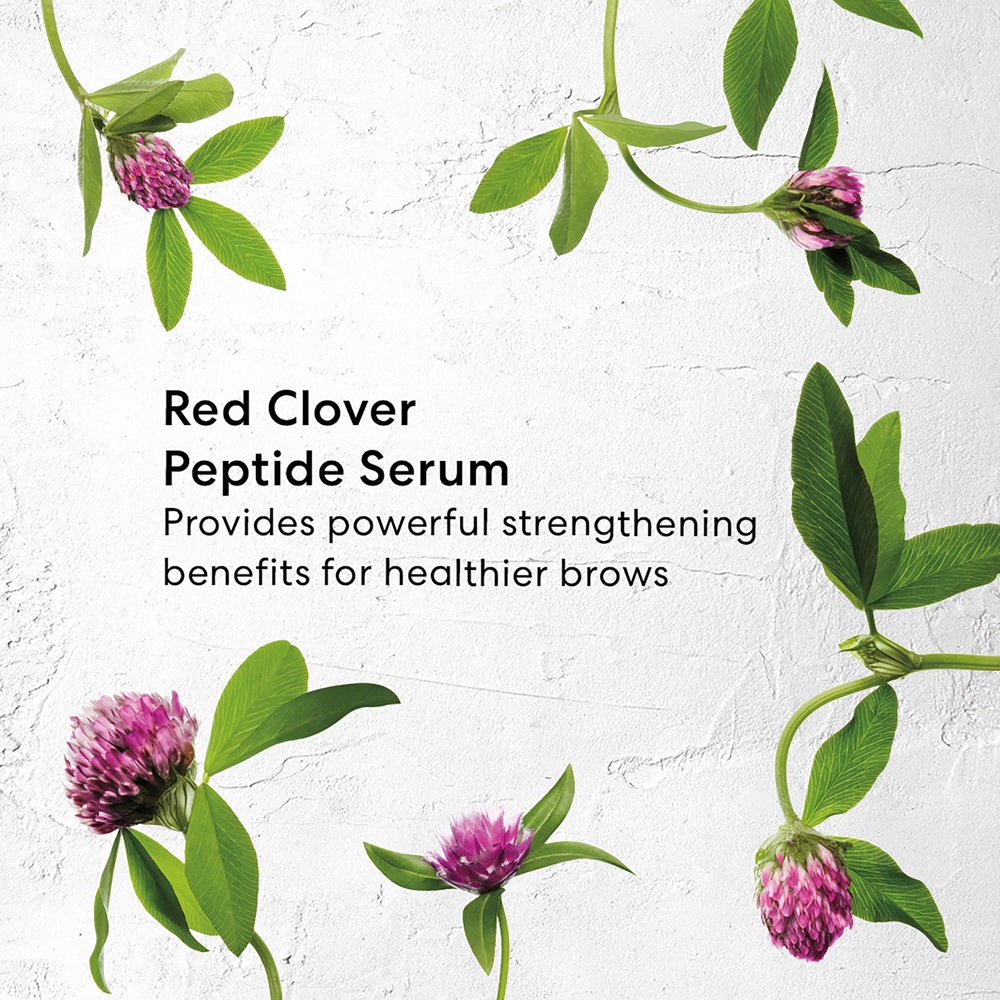 Strength & Length Serum Infused Brow Gel