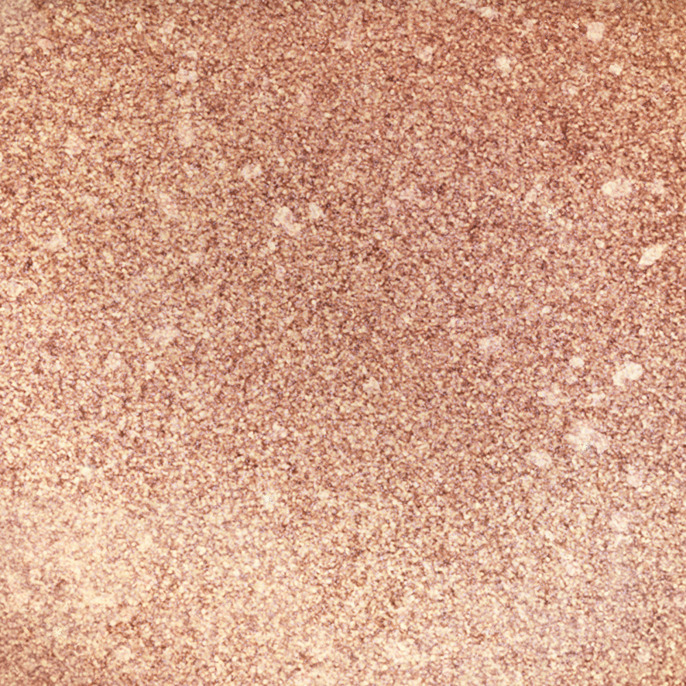 Single Power Eyeshadow