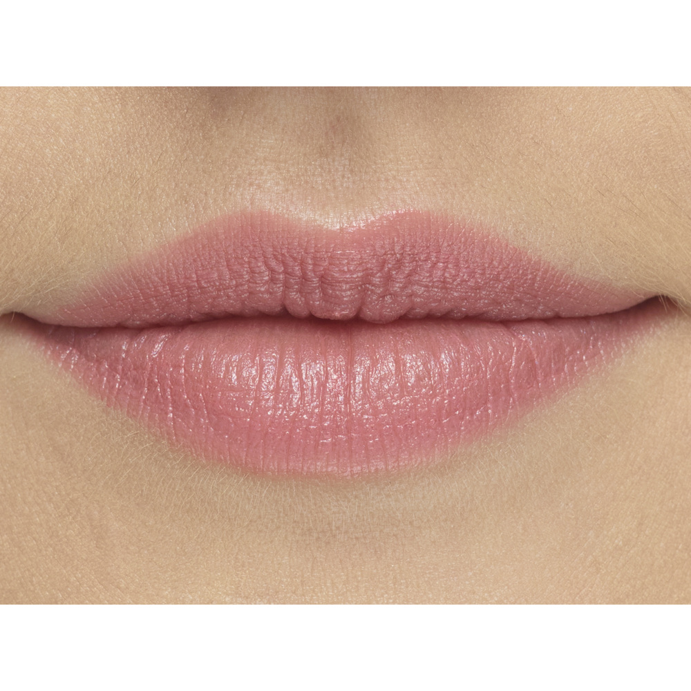Perfect Moisture Lipstick