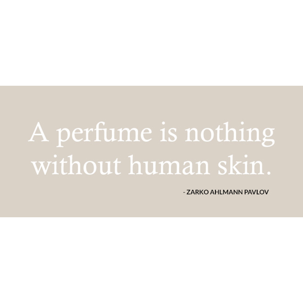 Quantum Molecule, EdP