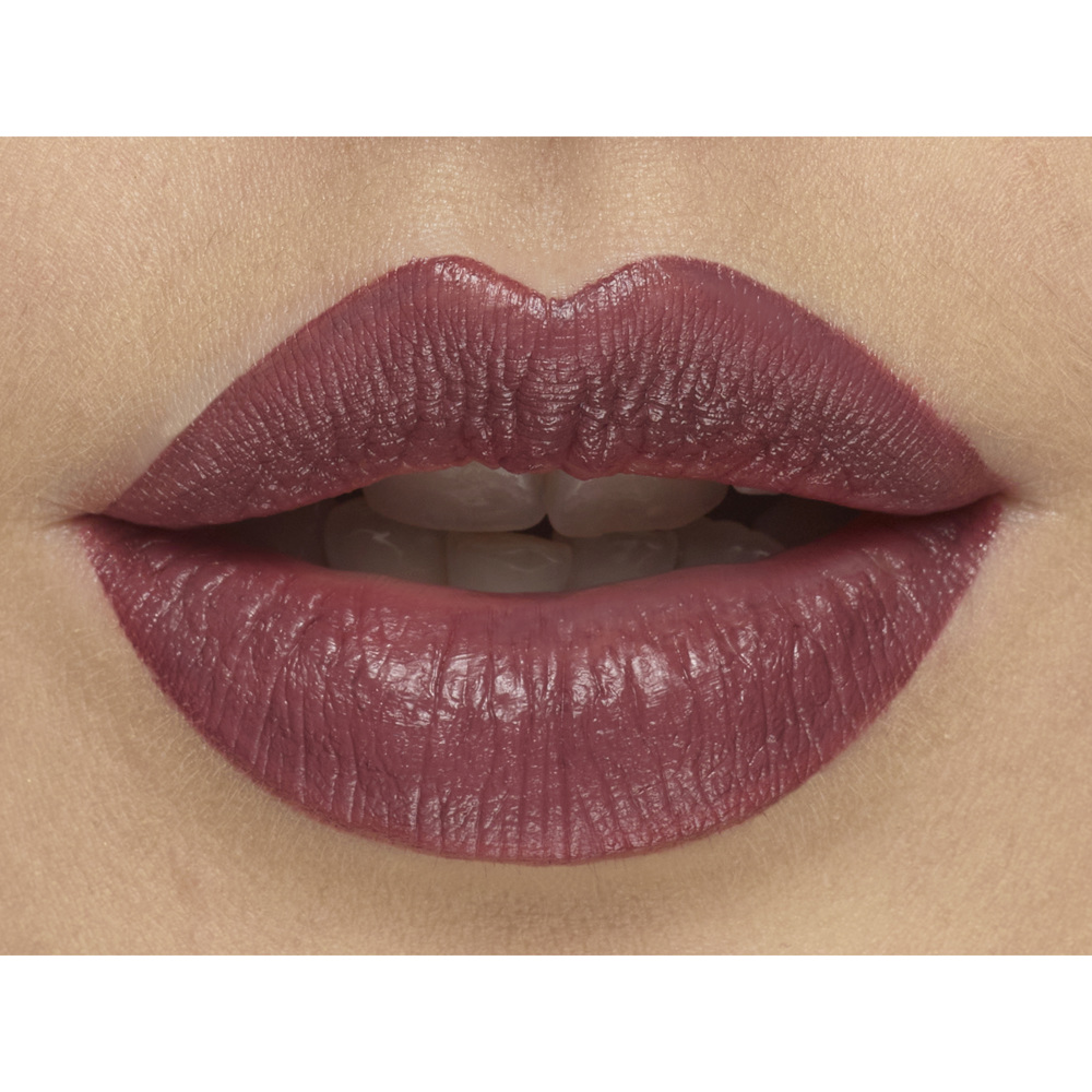 Perfect Moisture Lipstick
