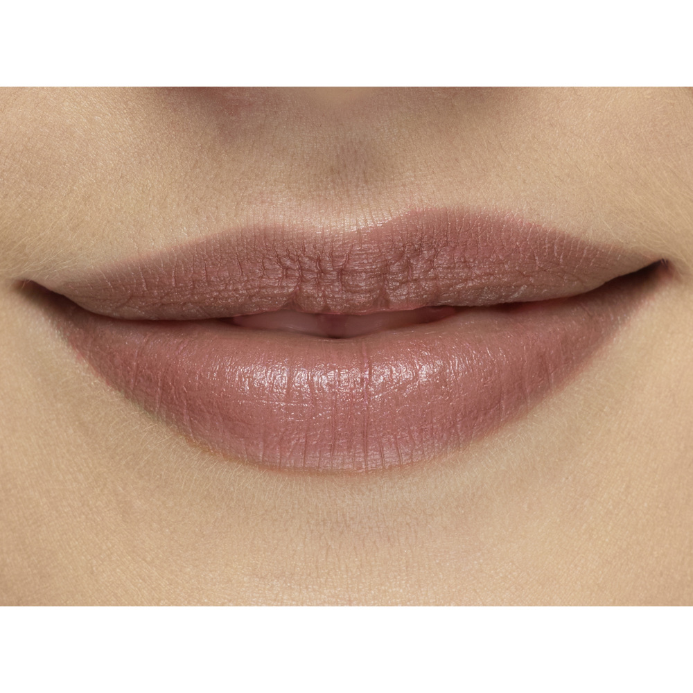 Perfect Moisture Lipstick