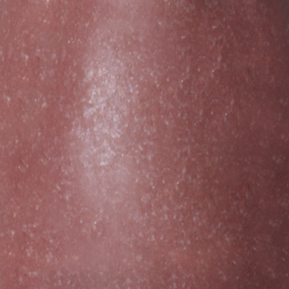 Twist-Up Gloss Stick