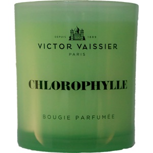 Chlorophylle Scented Candle, 220g