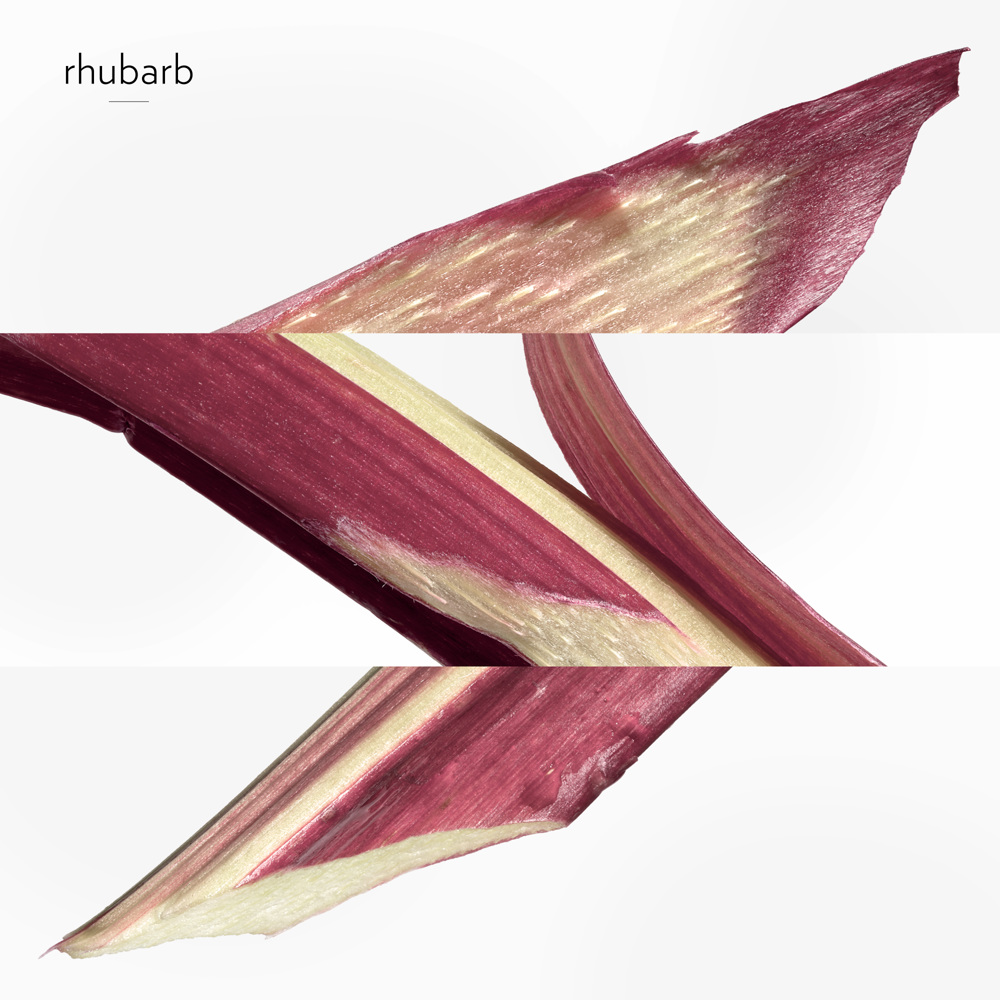 Eau de rhubarbe écarlate Hand & Body Cleansing Gel, 300ml