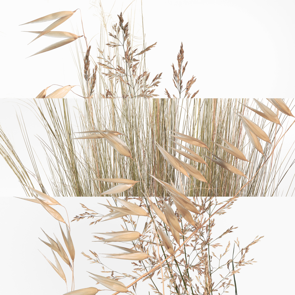 Un Jardin à Cythère Shower Gel, 200ml