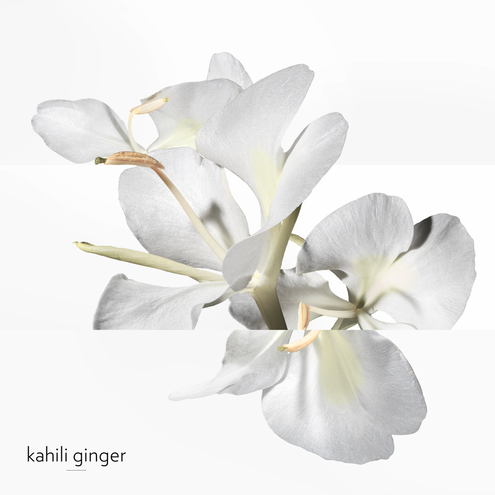 Un Jardin Après La Mousson, Eau de Toilette