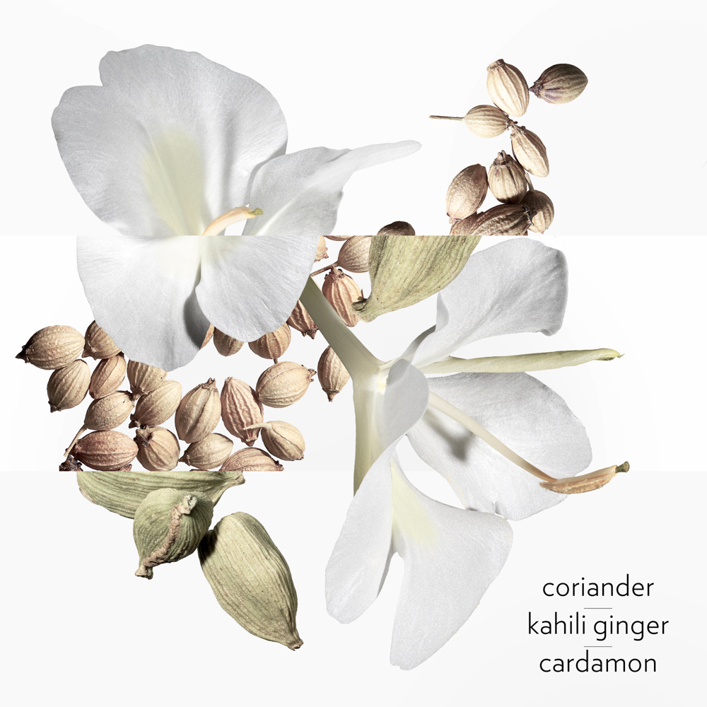 Un Jardin Après La Mousson, Eau de Toilette