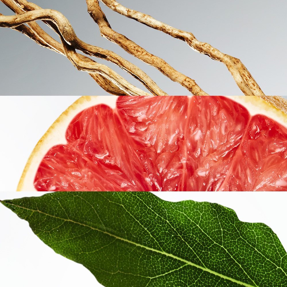 L.12.12 Blanc, Deostick