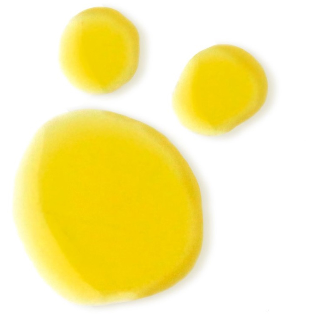 Bio-Retinol + C Booster, 15ml