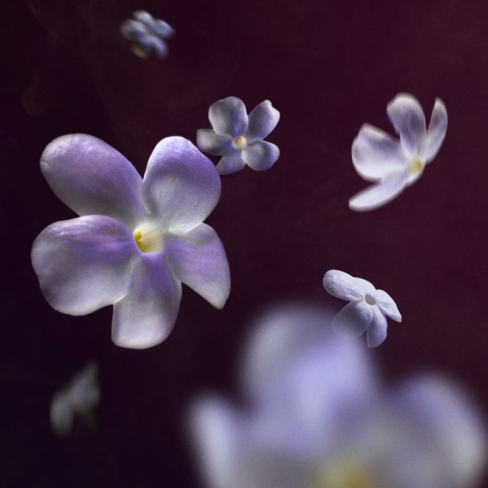 Good Fortune Elixir Intense, EdP