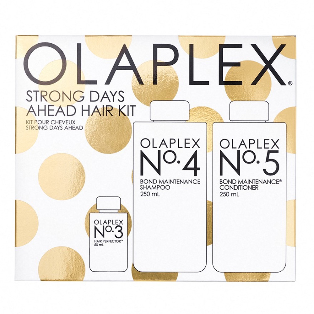 Strong Days Ahead Holiday Kit 2023