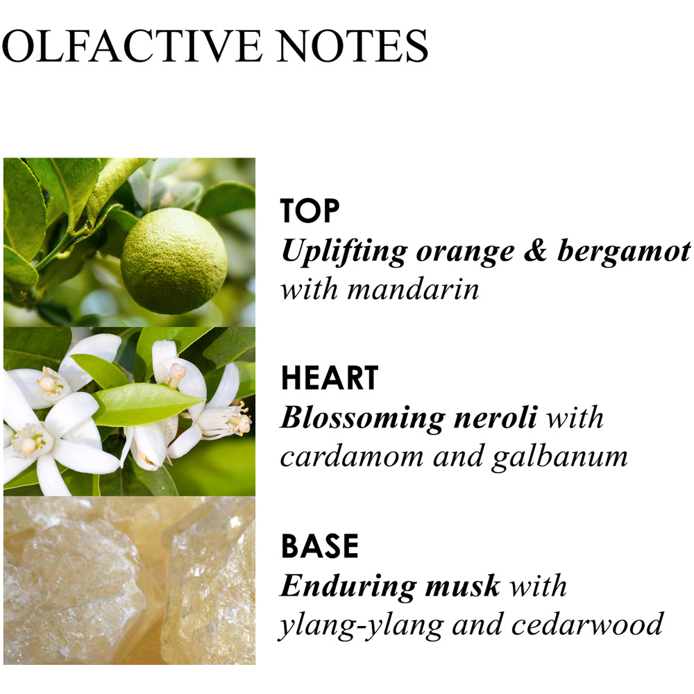 Orange & Bergamot Statement Candle