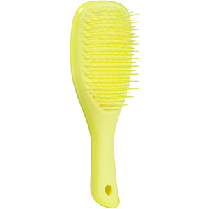 The Ultimate Detangler Mini