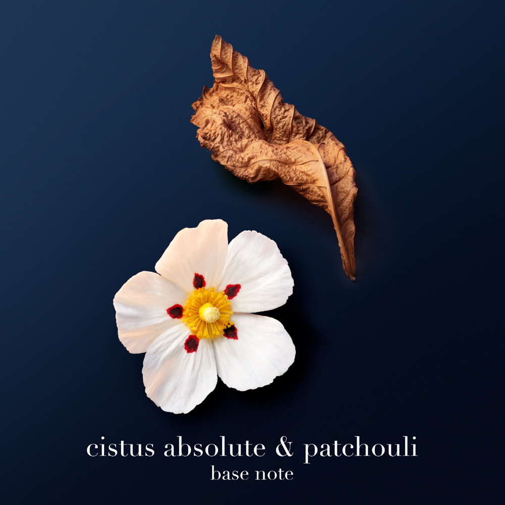 Acqua di Giò Profondo, Parfum