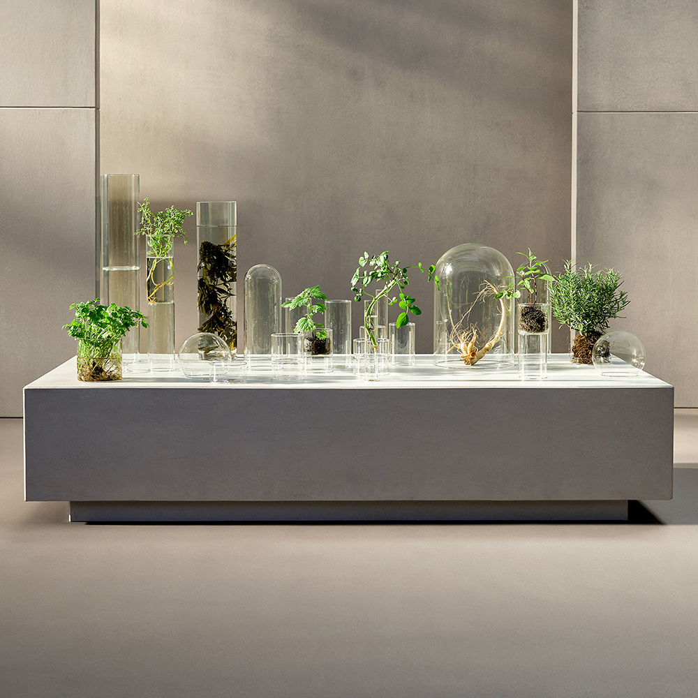 The Cure Cream, 50ml