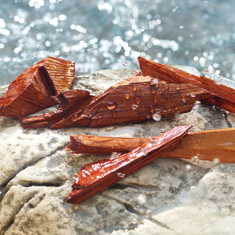 Light Blue Pour Homme Summer Vibes, EdT