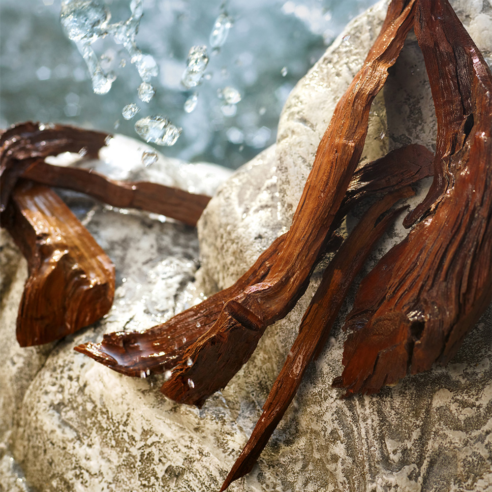 Light Blue Summer Vibes, EdT