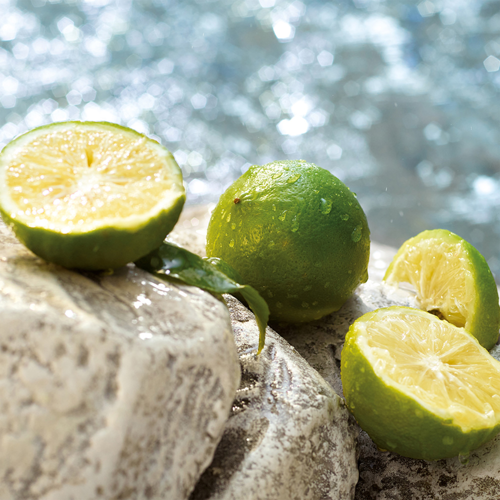 Light Blue Summer Vibes, EdT