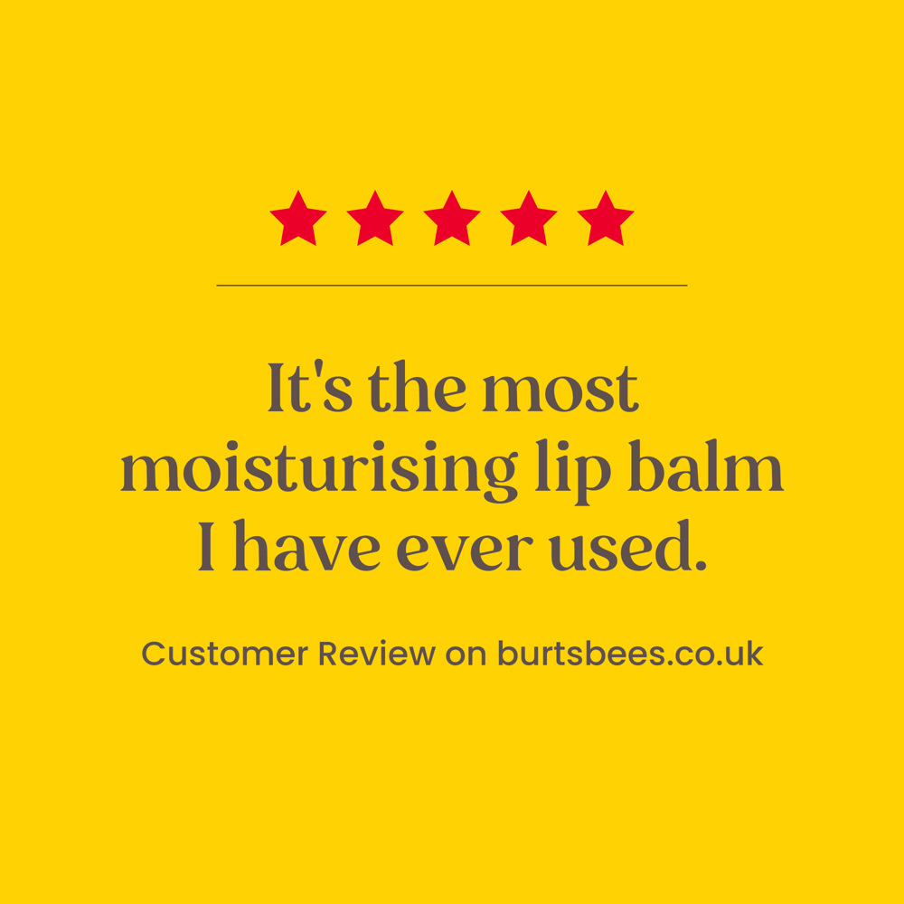 Bee Mine Lip Balm Gift Set