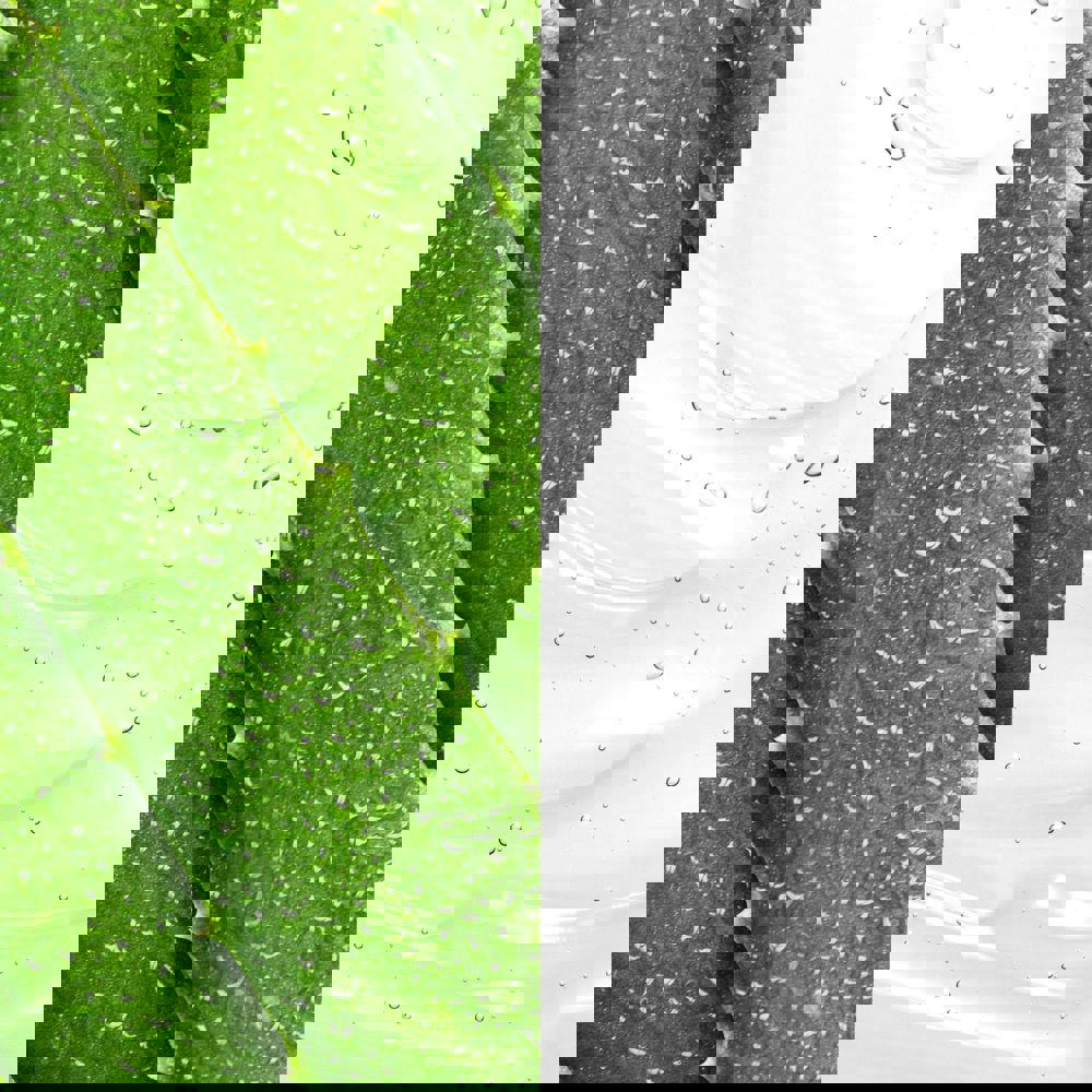 Glycolic Acid Toner, 236ml