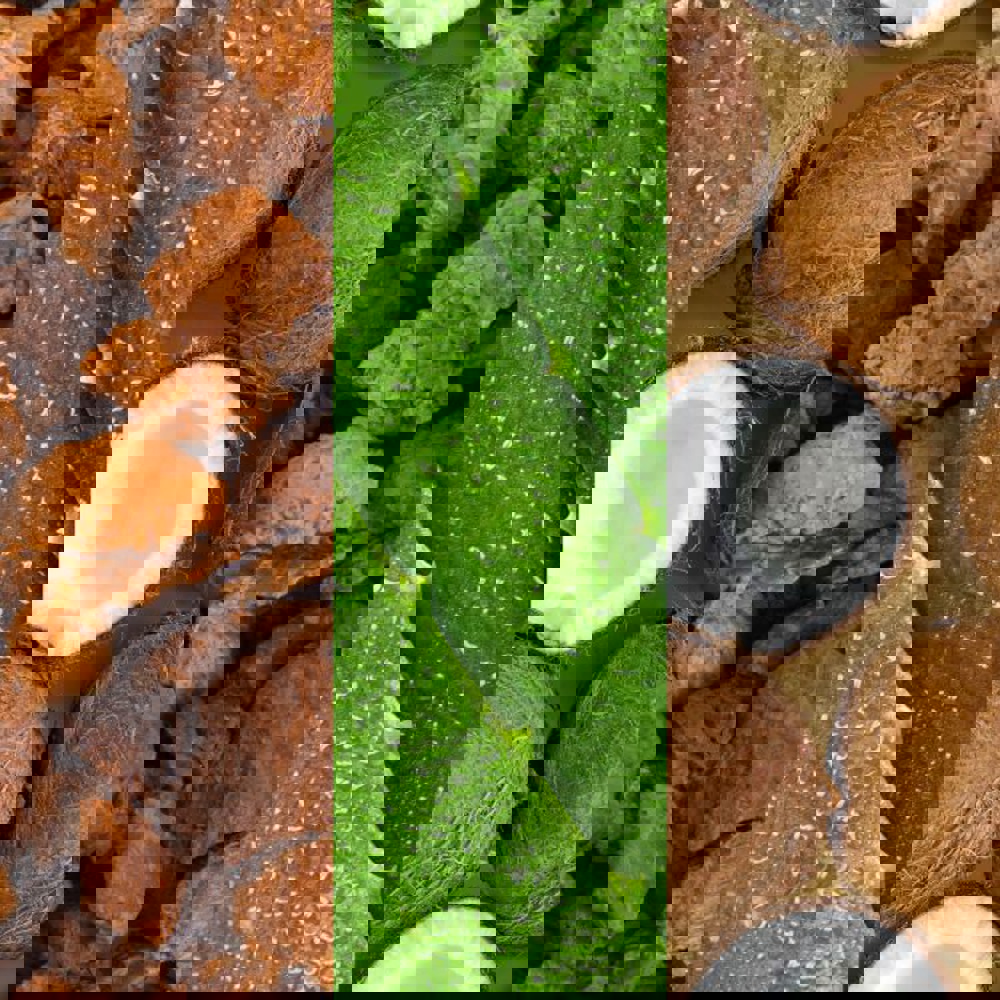 Facial Spray W/ Aloe, Adaptogens & Coconut Water