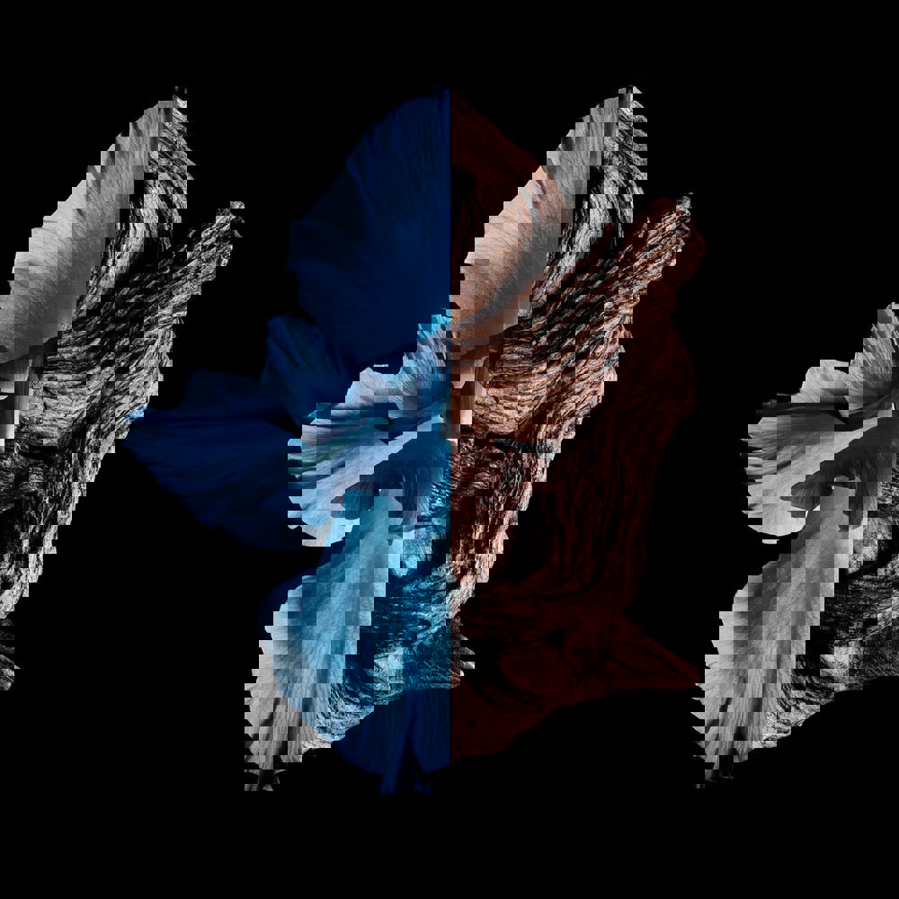 Gentleman Intense, EdT