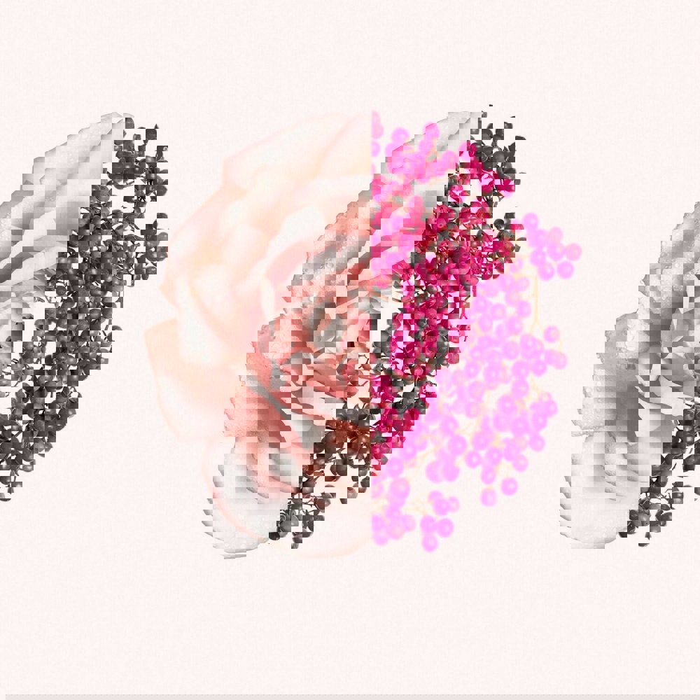 Irresistible Fraiche, EdT