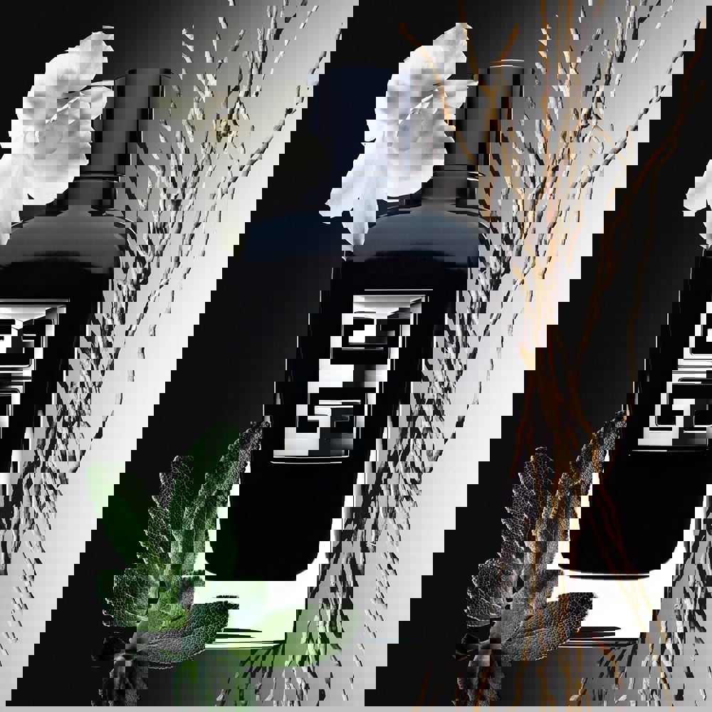 Gentleman Society, EdP