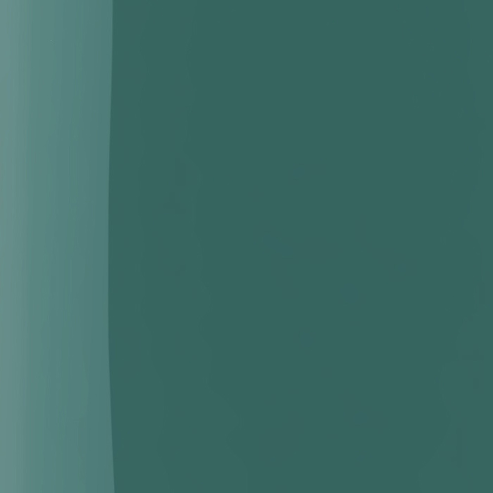 The Wonder Nail Polish Quick Dry & Longwear