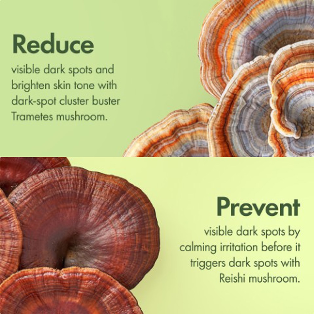 Dr. Weil Mega-Mushroom Dark Spot Correcting Brightening Serum, 30ml