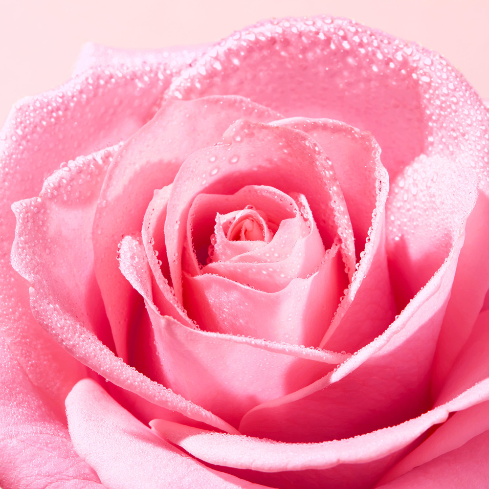 Very Rose Soothing Cleansing Gel, 150ml