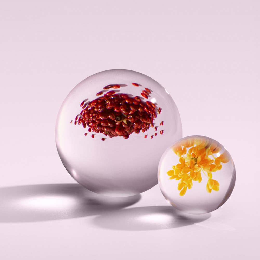 Fiery Pink Pepper, EdP