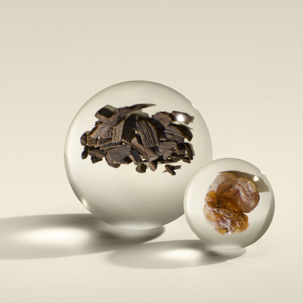 Mesmerising Oudh Accord & Gold, EdP