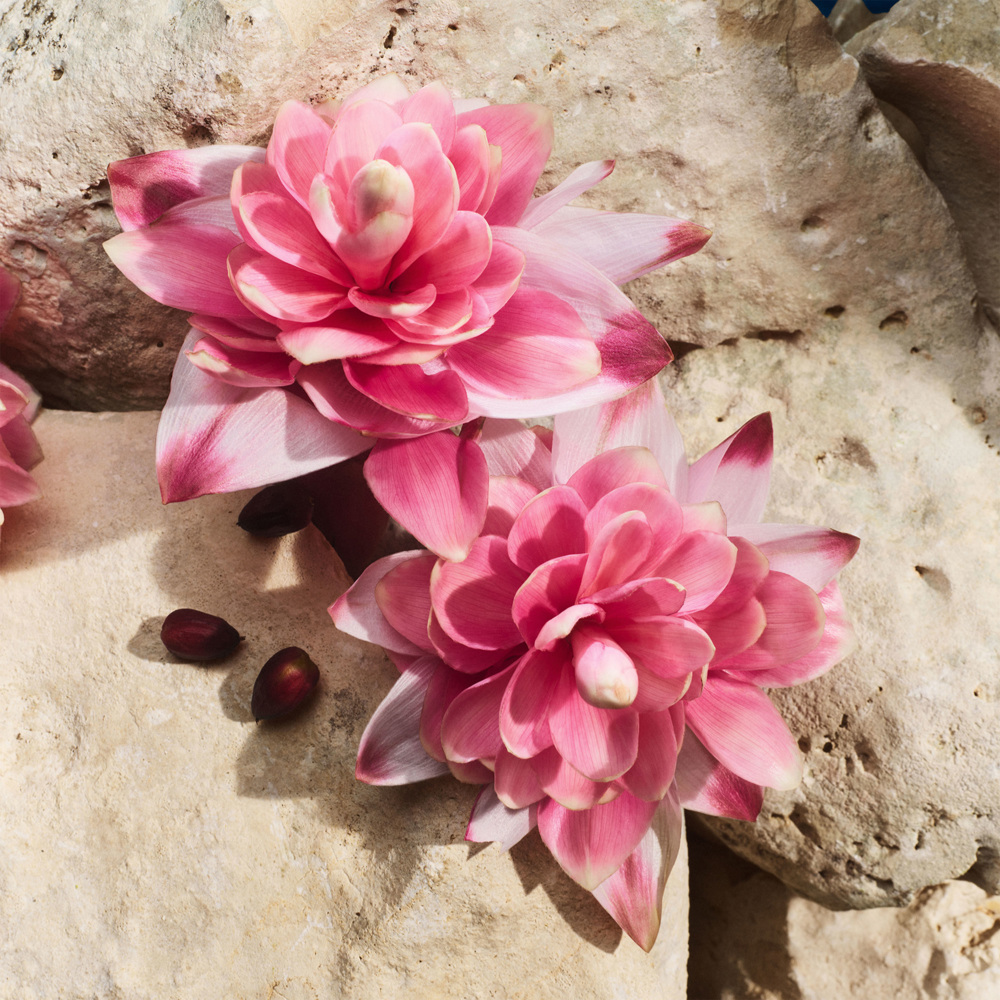 Light Blue Capri in Love, EdP