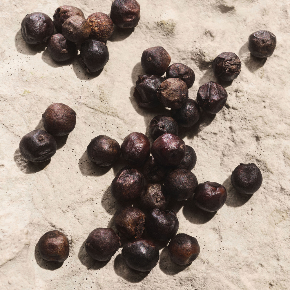 Light Blue Capri in Love Pour Homme, EdP