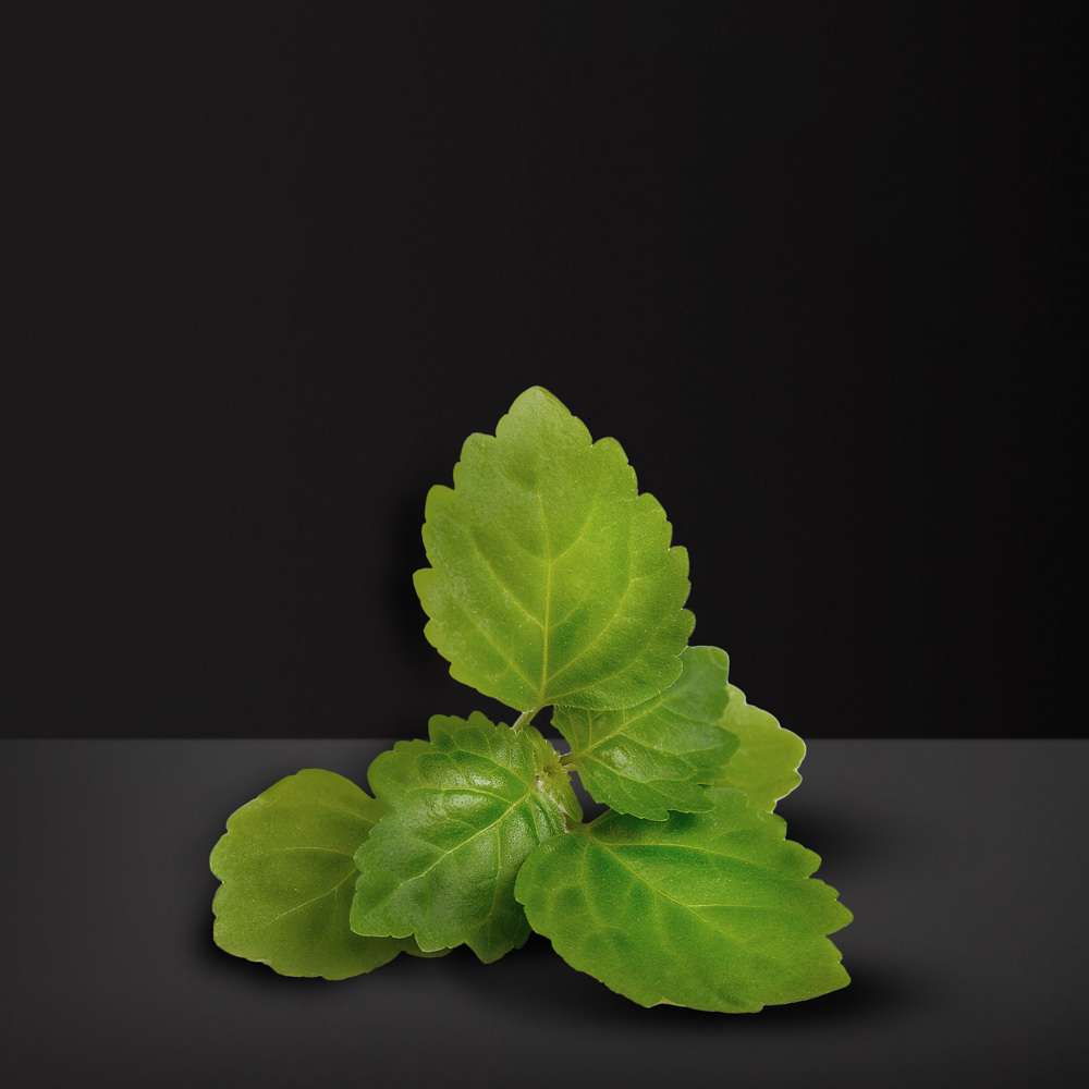 Respect, Deospray 150ml