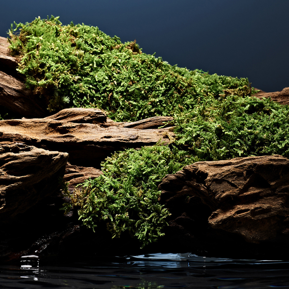 Fierce Cologne Deo Stick, 73g