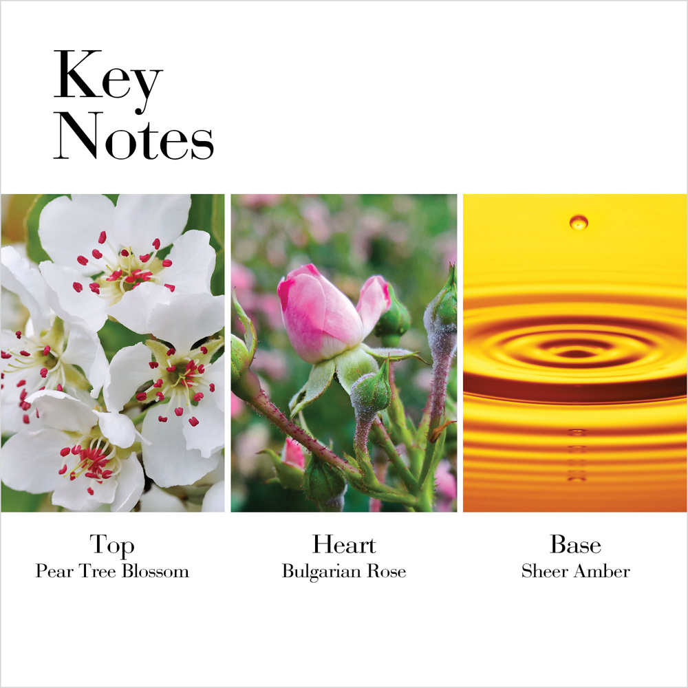 White Tea Wild Rose, EdT