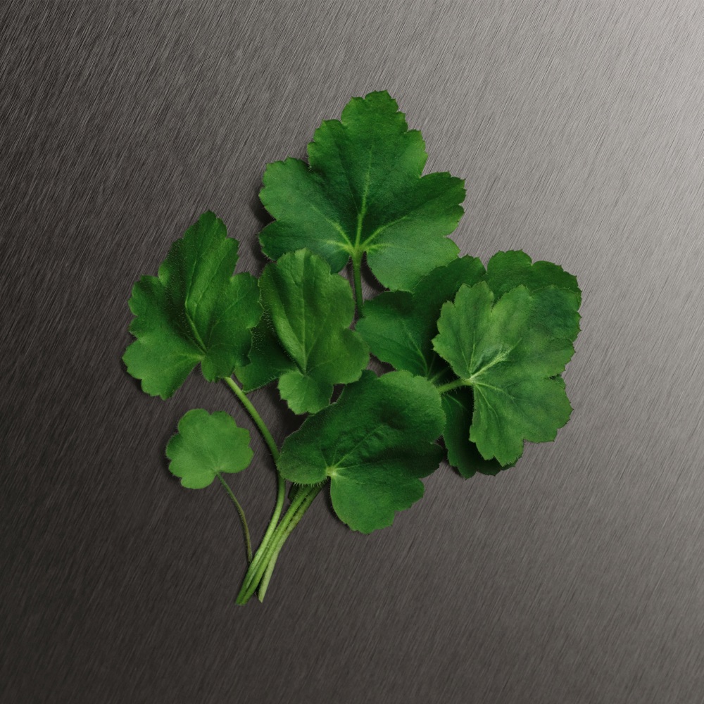 Eternity for Men, After Shave Lotion 100ml