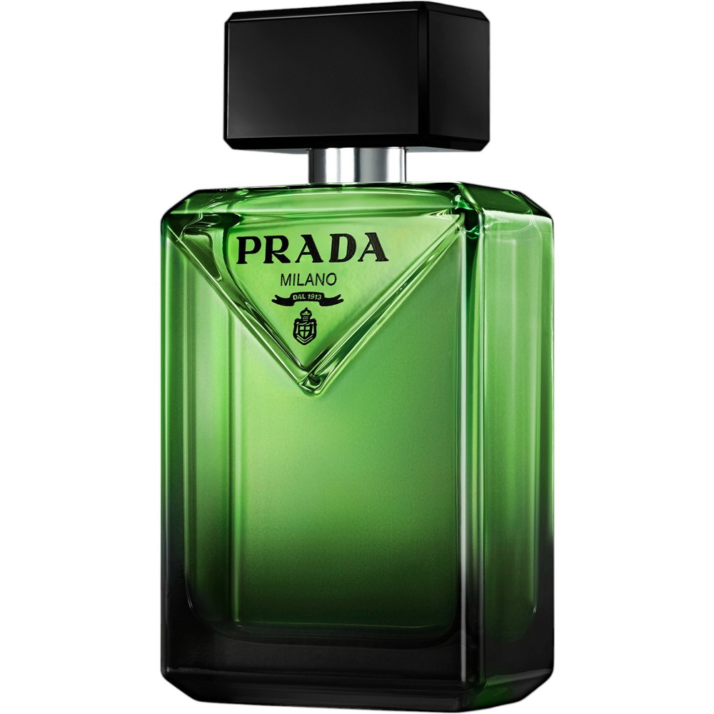 Paradigme, EdP