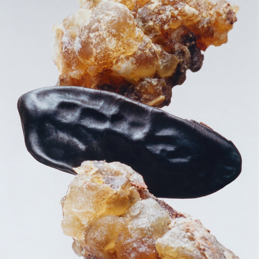 Myrrh & Tonka, Cologne Intense