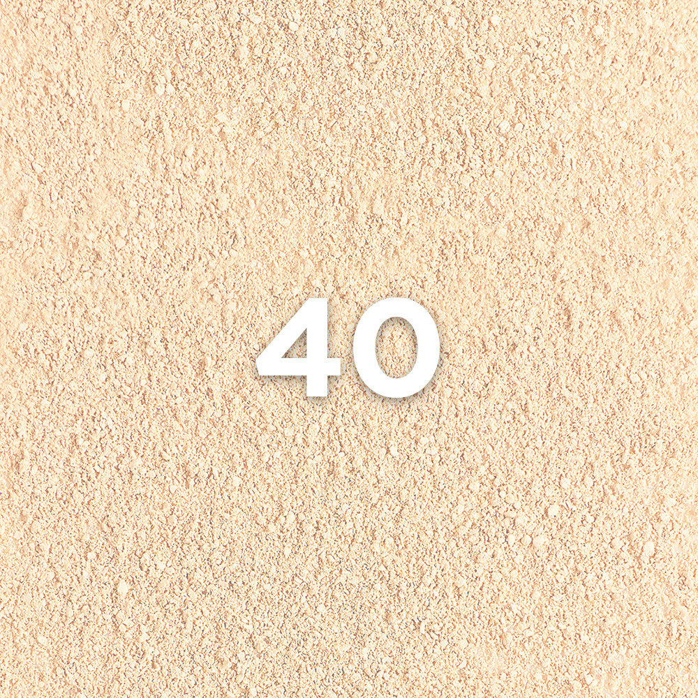 Infaillible 24H Fresh Wear Powder Foundation