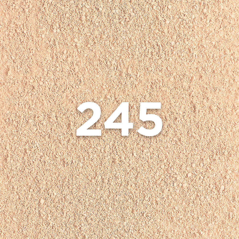 Infaillible 24H Fresh Wear Powder Foundation