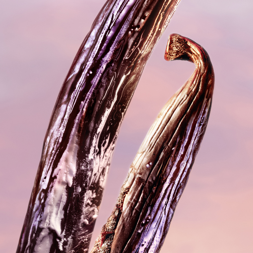 La Vie Est Belle Vanille Nude, EdP